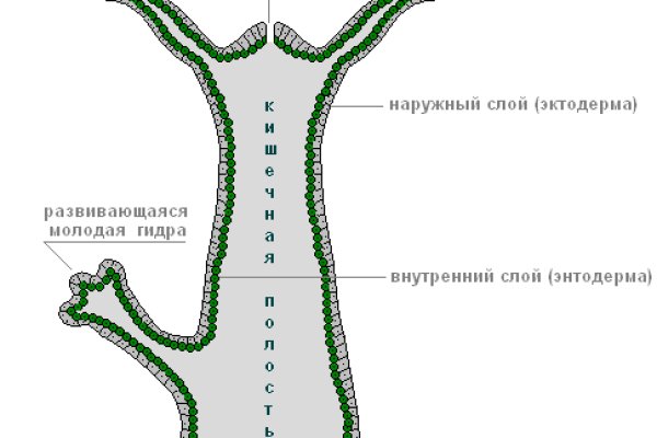 Рабочая ссылка блэкспрут тор