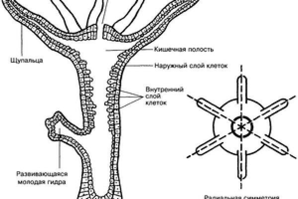 Как зайти на сайт blacksprut